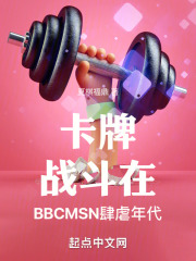 卡牌战斗在BBCMSN肆虐年代