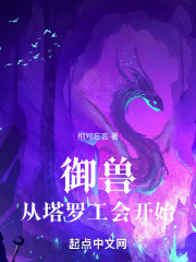 御兽：从塔罗工会开始