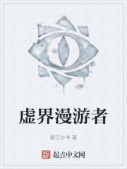 虚界漫游者