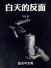白天的反面