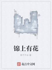 锦上有花