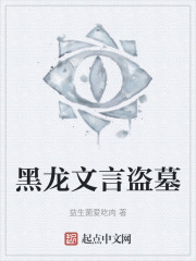 黑龙文言盗墓