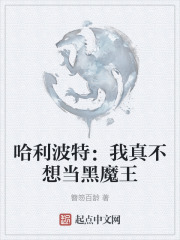 哈利波特：我真不想当黑魔王