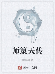 师箓天传