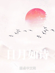日月如诗