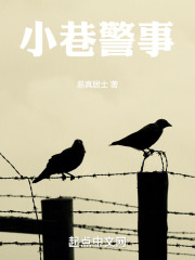 小巷警事