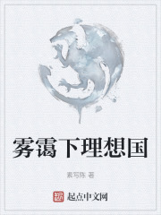 雾霭下理想国