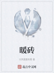 暖砖