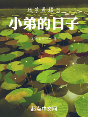 我在灵摆当小弟的日子