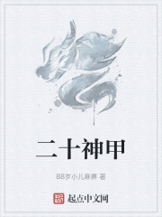 二十神甲