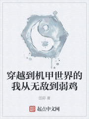 穿越到机甲世界的我从无敌到弱鸡