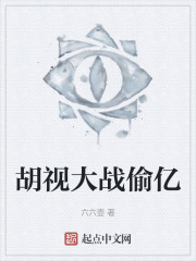 胡视大战偷亿