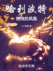 哈利波特燃烧的凤凰