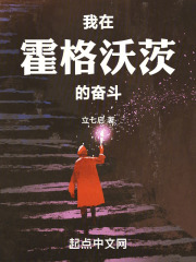 我在霍格沃茨的奋斗