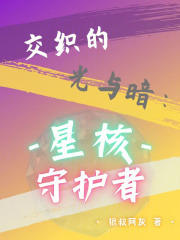 交织的光与暗：星核守护者