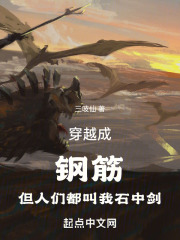 穿越成钢筋，但人们都叫我石中剑