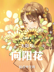 太阳与向阳花