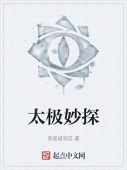 太极妙探