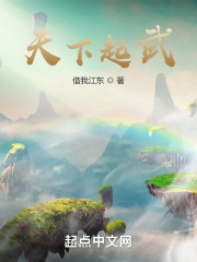 天下起武