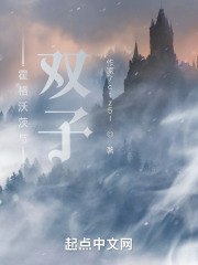 霍格沃茨与双子