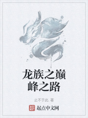 龙族之巅峰之路