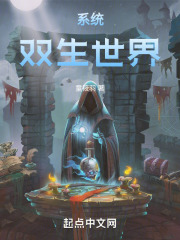 系统：双生世界