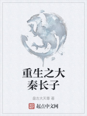 重生之大秦长子