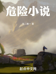 危险小说