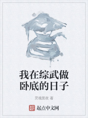 我在综武做卧底的日子