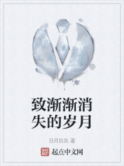 致渐渐消失的岁月
