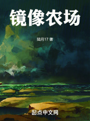 镜像农场