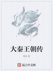 大秦王朝传