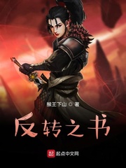 反转之书