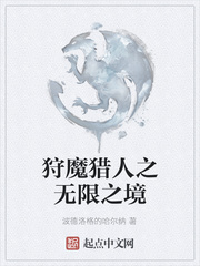 狩魔猎人之无限之境