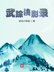 武踪侠影录