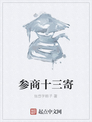 参商十三寄