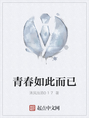 青春如此而已