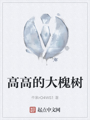 高高的大槐树