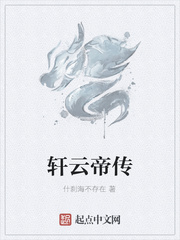 轩云帝传