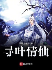 寻叶情仙