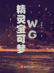 神奇宝贝WG