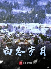 白冬岁月