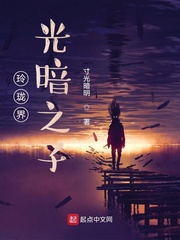 玲珑界光暗之子