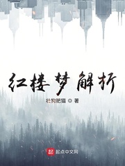 红楼梦解析
