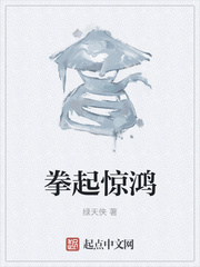 拳起惊鸿