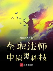 真大佬的全职之旅