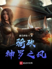 骑砍神罗之风