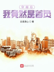 穿越后我竟然是首负