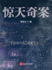 惊天奇案