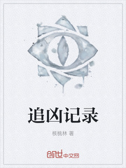 追凶记录